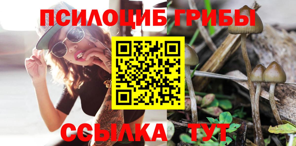Псилоцибиновые грибы MAGIC MUSHROOMS  Вход с VPN  Заводоуковск 