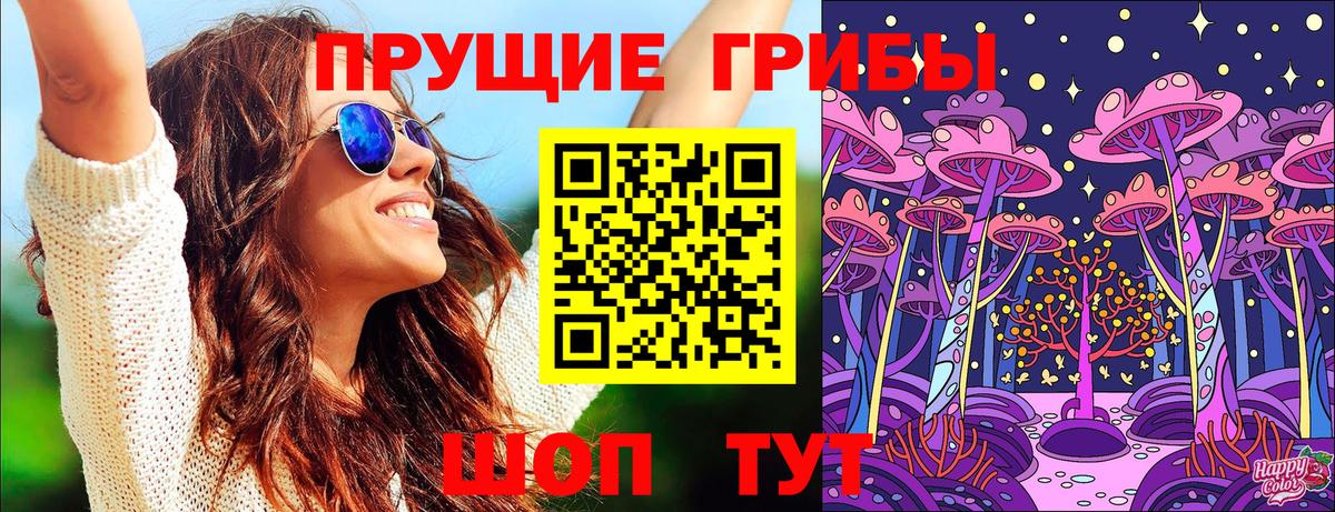 Галлюциногенные грибы Psilocybine cubensis Заводоуковск